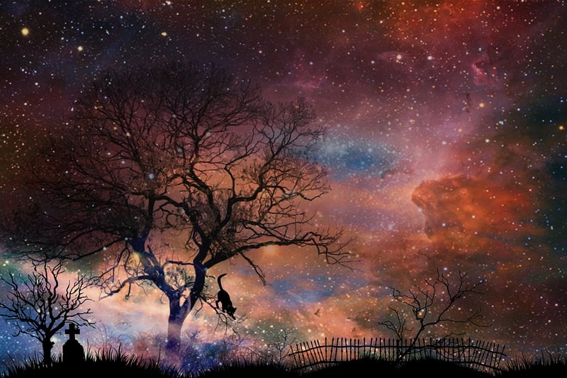 Starry Backdrops